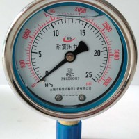 抗震压力表YTN-50/60/75/100/150