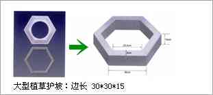 植草护坡彩砖塑料模盒模具