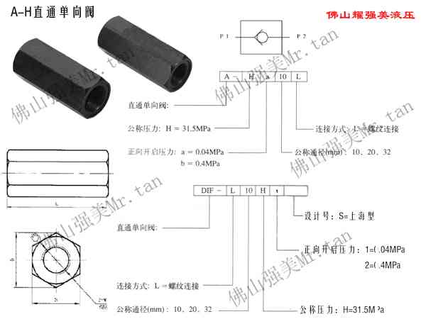 A-Ha10L直通单向阀
