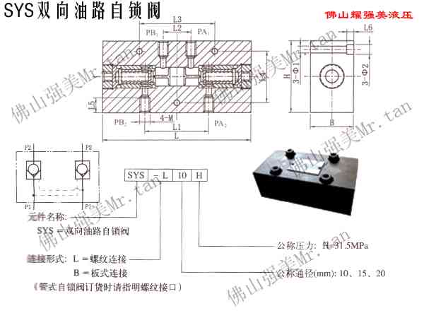 SYS-L20H双向油路自锁阀