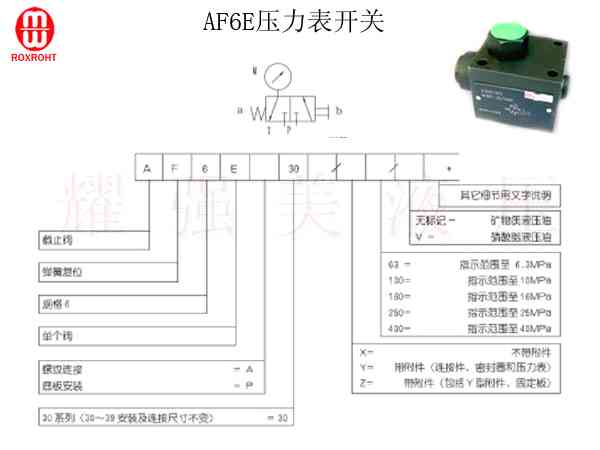 隆士乐-AF6EP压力表开关