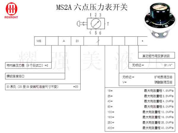 隆士乐-MS2A六点压力表开关